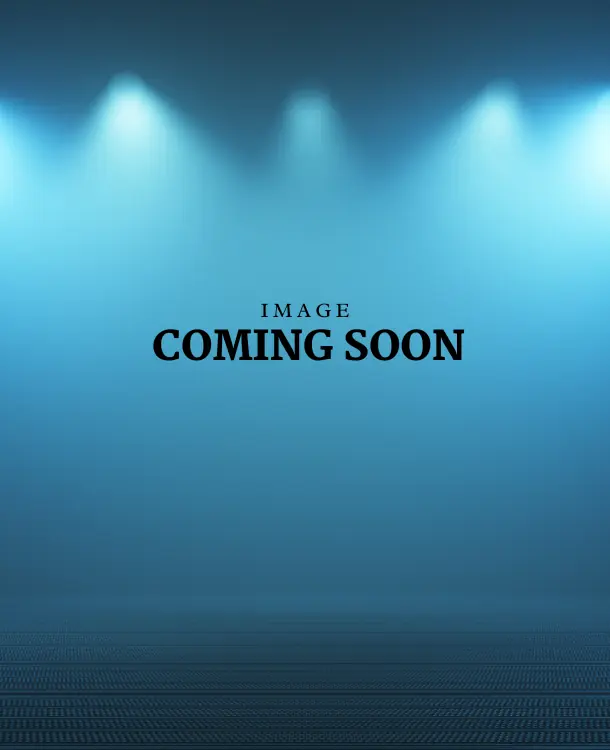 Aries Door gallery image
